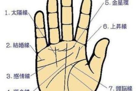 如何看手相算命看手相怎么看 如何看手相算命图片大全图解