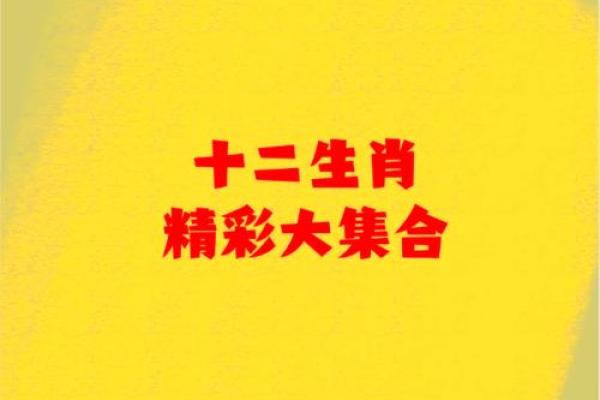 天作之合的三组生肖配对