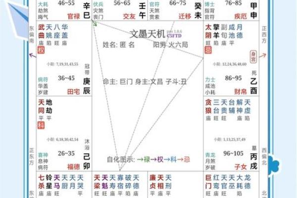 壹年山人紫薇斗数