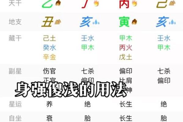 算命扎根是什么