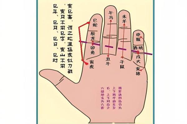 易经生辰八字算命怎么自己算,易经测算生辰八字