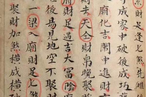 紫薇斗数命书39