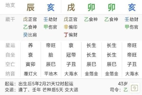 怎么看八字命盘,如何解读八字排盘