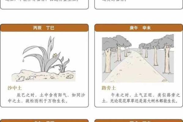 传承国学文化，算命入门，六十甲子纳音
