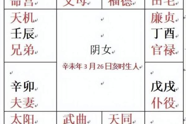 z紫薇斗数排盘