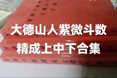 壹年山人紫薇斗数