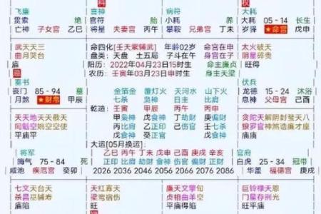 紫薇斗数身宫在迁移是什么