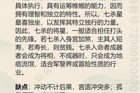 豆瓣紫薇斗数身宫七杀