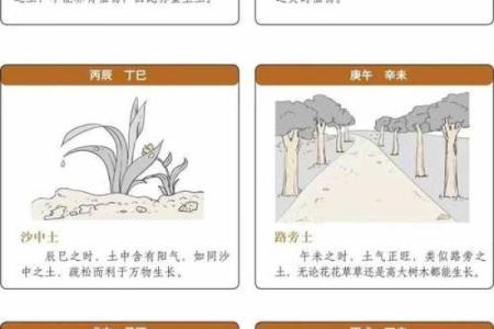 传承国学文化，算命入门，六十甲子纳音