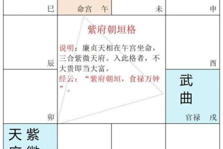 紫薇斗数夹贵