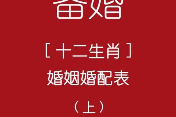 周易中属什么生肖？解析周易生肖配对