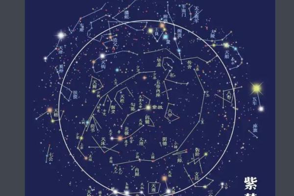 紫薇斗数apk