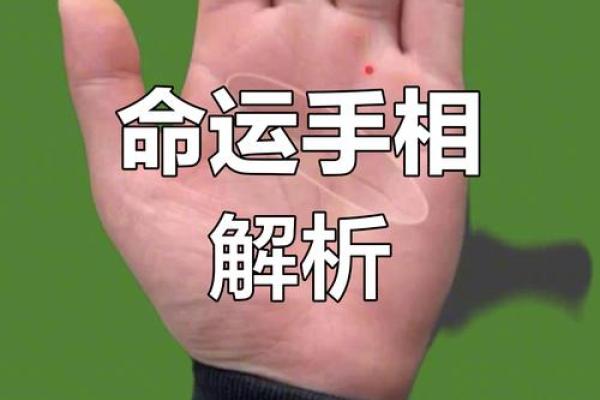 看手相算命：第四课 论事业命运