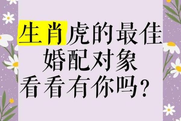 1998女虎婚姻配对 与属马相处融洽生活幸福