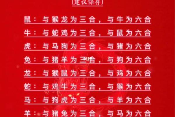 1992年属什么生肖配对