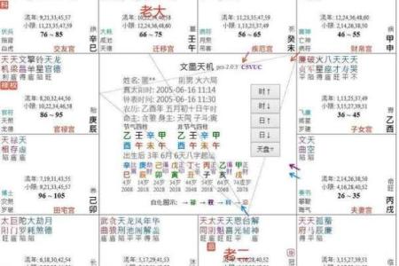 紫薇斗数爱情宫
