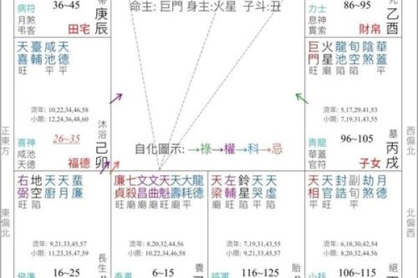 辰宫紫薇斗数