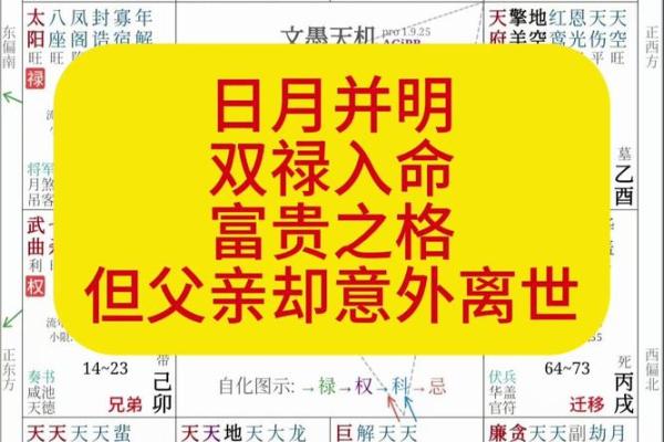 紫薇斗数忌转忌会发生什么