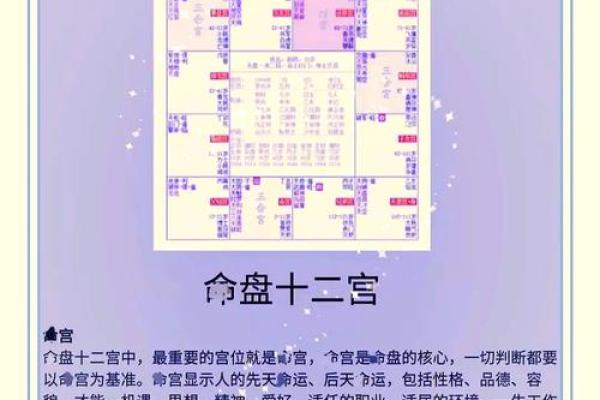 紫薇星数十二宫怎么排