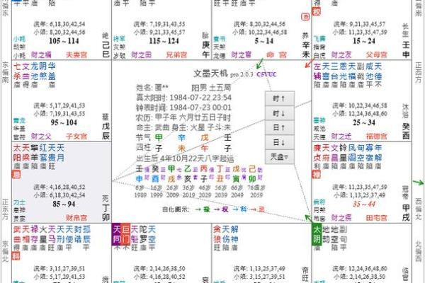 紫薇斗数看润月