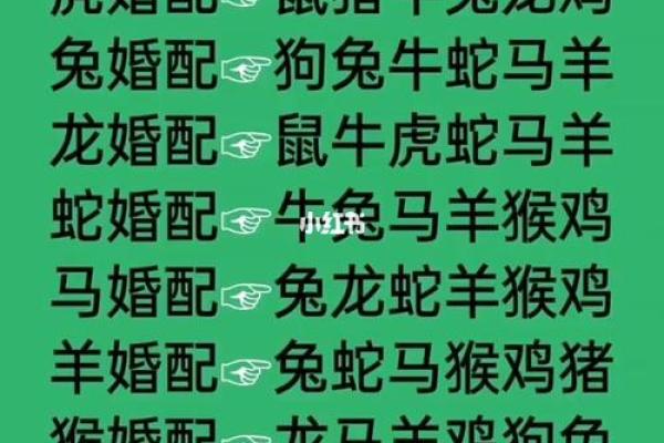 生肖配对指数 生肖配对指数真的准吗