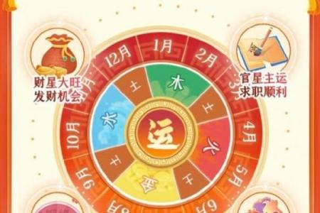 麦玲玲算八字,麦玲玲39元测运势准吗
