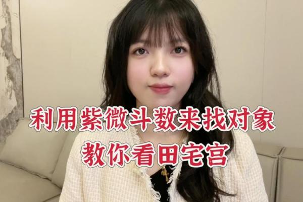 紫薇斗数田宅宫是紫薇