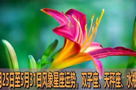 盖娅星座运势完整版