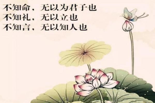 没基础硬学八字!墙都不扶,舅服你。 没基础硬学八字!墙都不扶,舅服你。