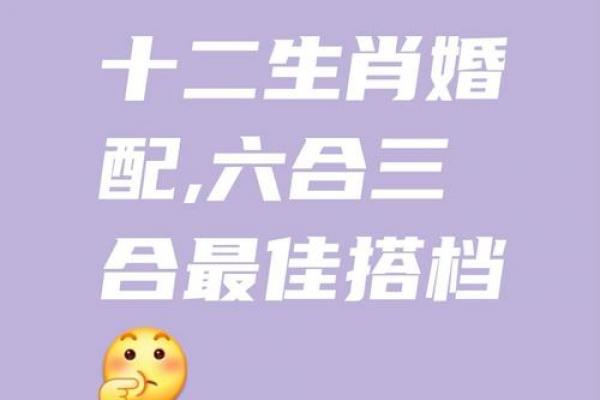 属龙和属鼠的八字合吗 属龙和属鼠的八字合吗