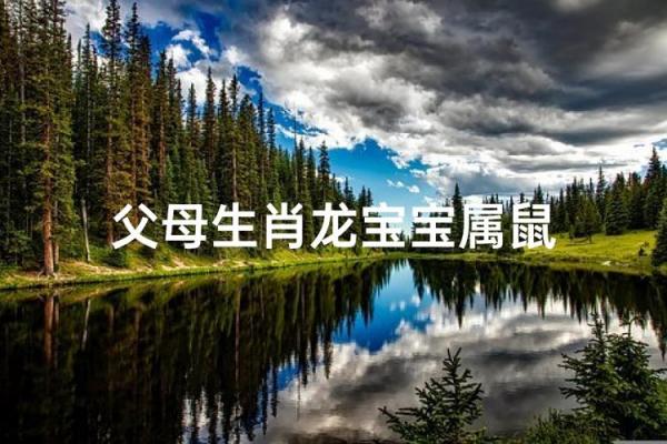 属龙和属鼠的八字合吗 属龙和属鼠的八字合吗