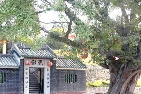 树上的房子风水 树上的房子风水