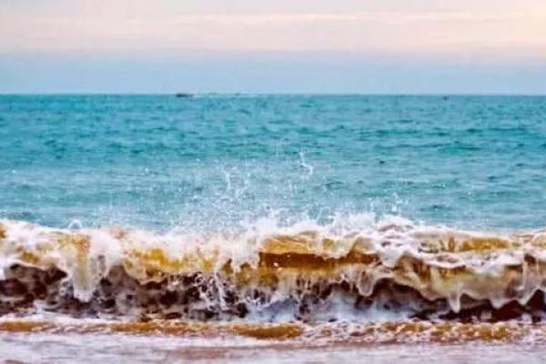 心理测试：第一眼你觉得哪个浪花最美？测你这一生的命运如何？