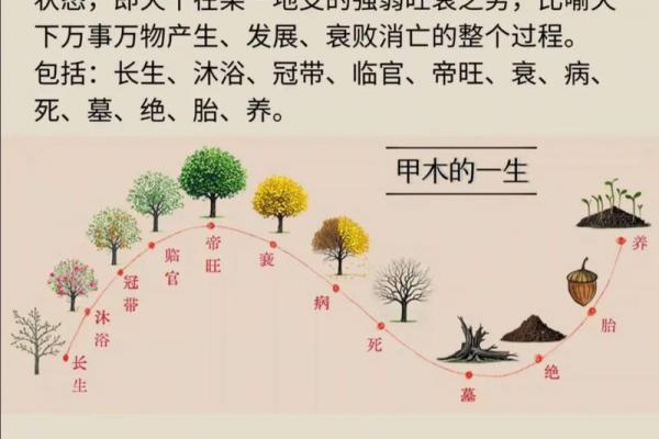 八字命理库 八字命理库