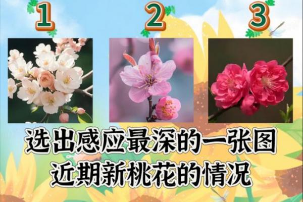 塔罗测试:十一月桃花运? 塔罗测试:十一月桃花运?