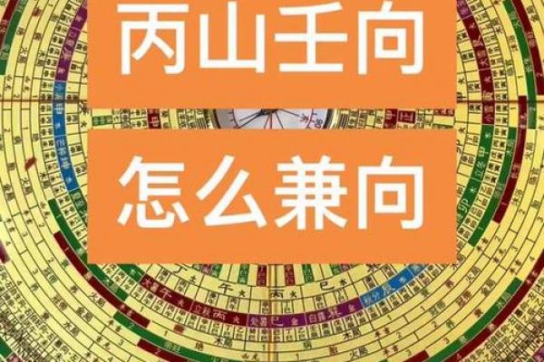 丙山壬向兼午子风水 丙山壬向兼午子风水