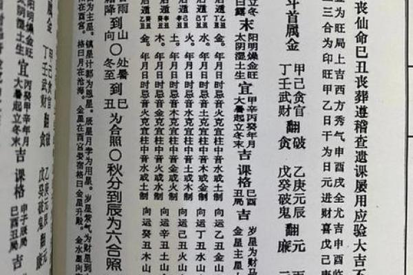 丙山壬向兼午子风水 丙山壬向兼午子风水