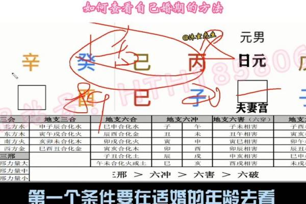 四柱八字查命格怎么查的