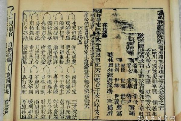 八字正宗 八字正宗