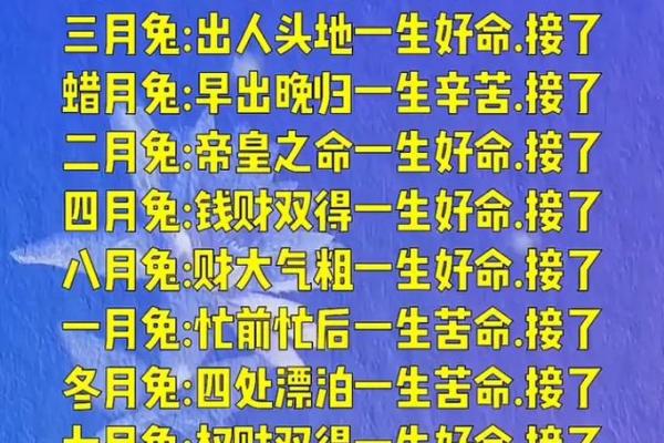免费算八字 免费算八字