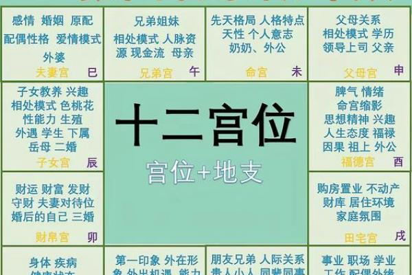 紫薇斗数要学多久
