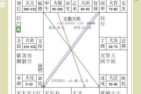紫微排盘命宫自化忌 紫微斗数自化忌详解之命宫自化忌