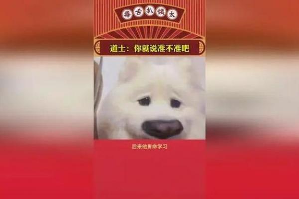 算命先生算狗在哪看