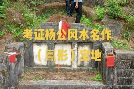 下山凤形风水如何在家中营造良好的风水环境