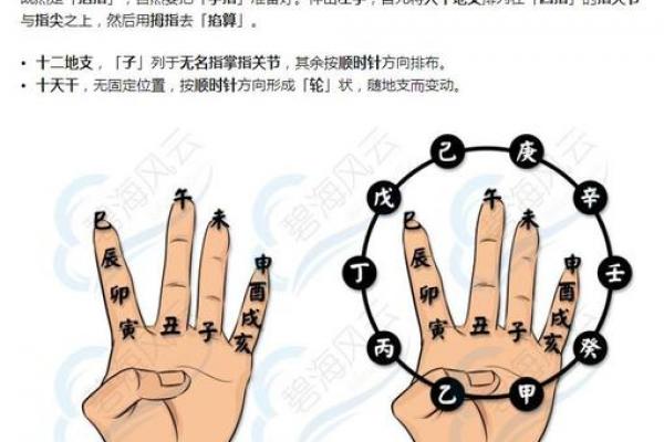 怎么用手算命