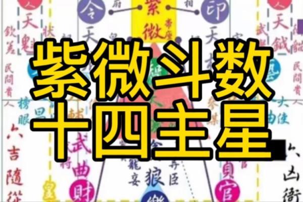 朱元璋紫薇斗数