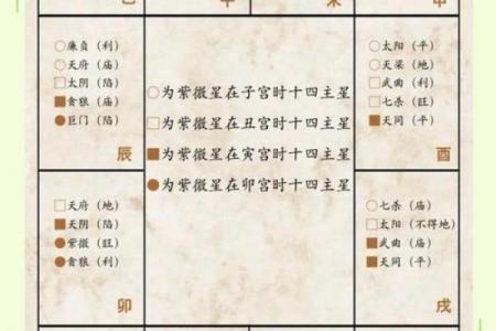 紫微星入命宫与其他星曜之关系分析#紫微斗数教学