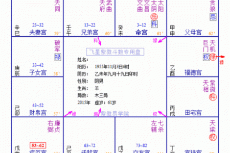 紫薇斗数怎么看嫁入豪门