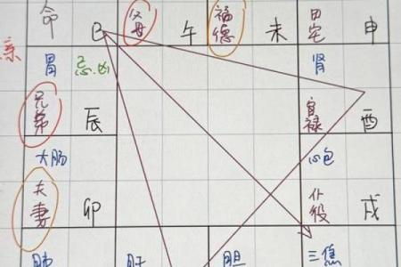 紫微斗数术语解释之：强宫、弱宫