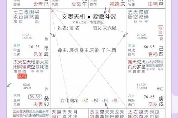 紫微斗数诸星落命宫之:天府星详解 紫微斗数诸星落命宫之:天府星详解